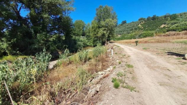 Immobile in asta di 420 m², box auto in vendita a Feroleto della Chiesa - Foto 7