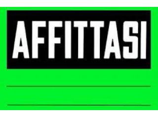 Appartamento in affitto a Cascina 80 mq  Rif: 1363450