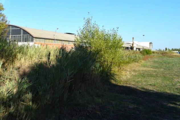 Immobile in asta di 12037 m² in vendita a Camposanto