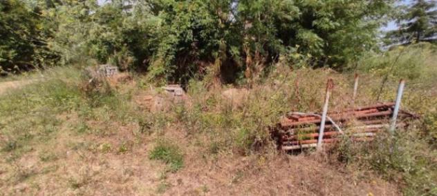 Immobile in asta di 76942 m² in vendita a Siena - Foto 2