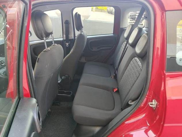 FIAT - Panda 1.0 FireFly Hybrid 5 POSTI CRUISE - Foto 5