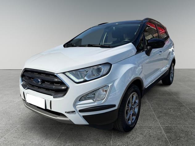 Ford EcoSport EcoSport 1.5 tdci Plus awd s&s 125cv
