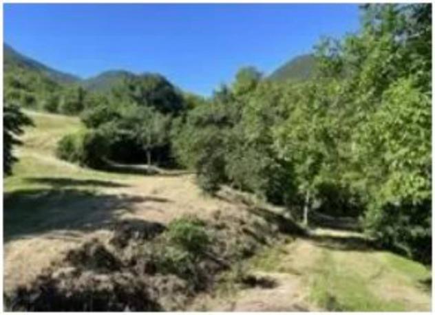 Immobile in asta di 10407 m² con più di 5 locali in vendita a Fossombrone - Foto 9