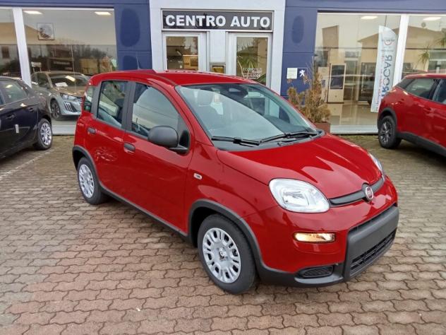 FIAT Panda 3ª serie Panda 1.0 FireFly S&S Hybrid Icon