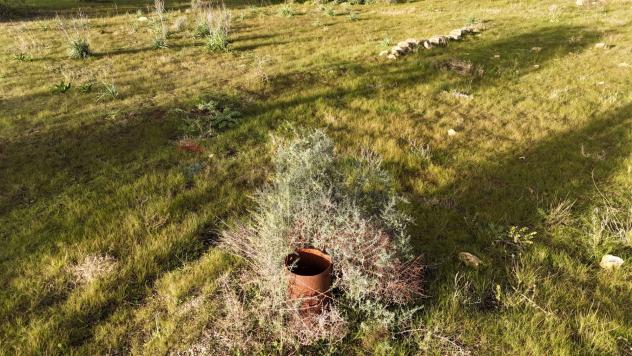 Terreno in vendita a Caltagirone - Foto 10