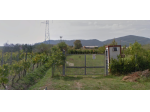 Terreno agricolo in vendita a Castelnuovo Magra 1000 mq  Rif: 1403669