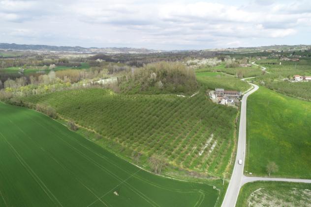 Agricolo in vendita a Cherasco - Foto 7