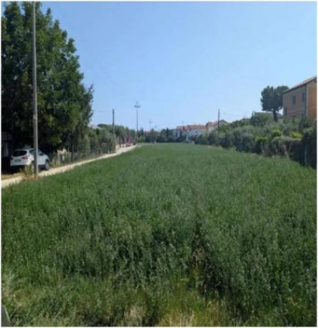 Immobile in asta di 5140 m² in vendita a Civitanova Marche - Foto 2