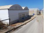 Azienda agricola mq 32000 in C.da Alcerito