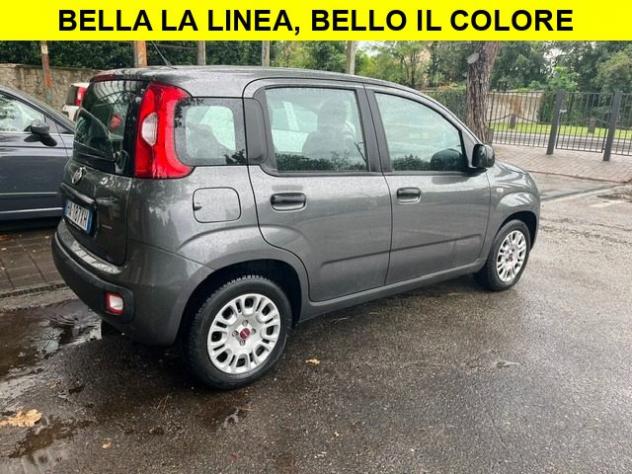 FIAT Panda 1.2 5 Porte Euro6 rif. 24031854 - Foto 2