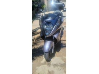 Silver wing