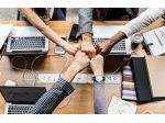 Area Manager provenienza settore Energia