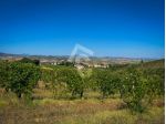 Agricolo in vendita a Montecarotto