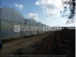 Terreno in vendita a Noto - Rif. 4549584