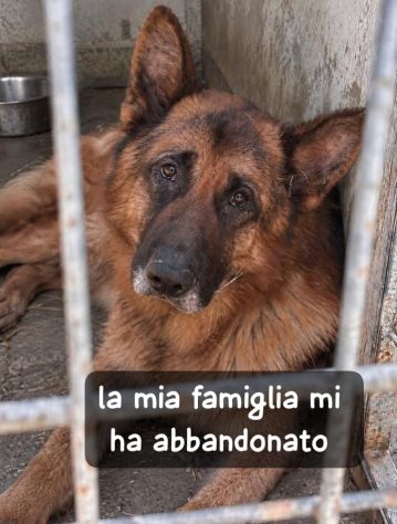 BRYAN PASTORE TEDESCO 3 ANNI CESSIONE DI PROPIETA’