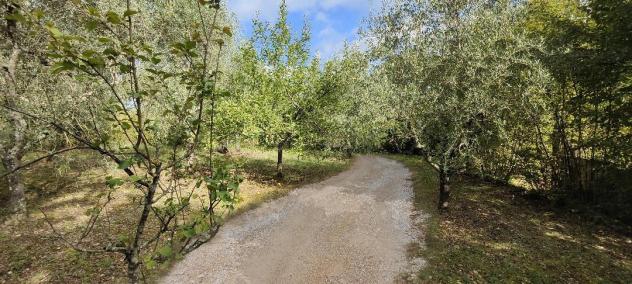 Appartamento in vendita a Montalbuccio - Siena 120 mq Rif: 1292600 - Foto 4