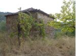 Torchiara-Terreno Con Fabbricato,Ulivi E Ficheto