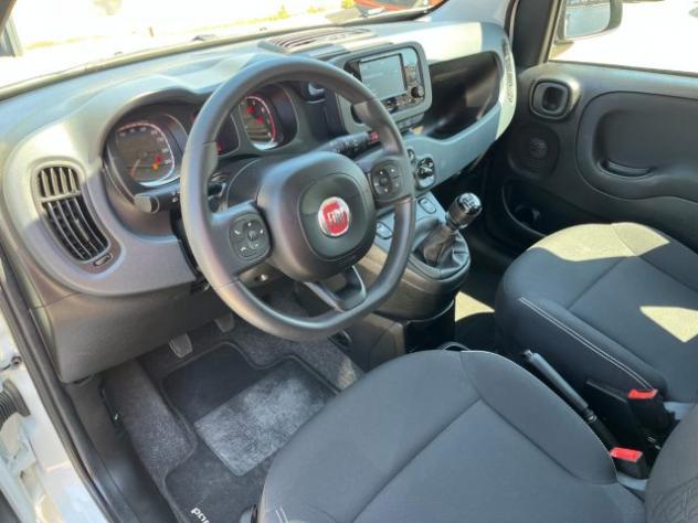 FIAT Panda 1.0 FireFly S&S Hybrid PREZZO REALE! rif. 24036375 - Foto 10
