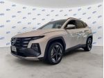 Hyundai Tucson 1.6 CRDi MHEV 2wd 136cv Business DCT