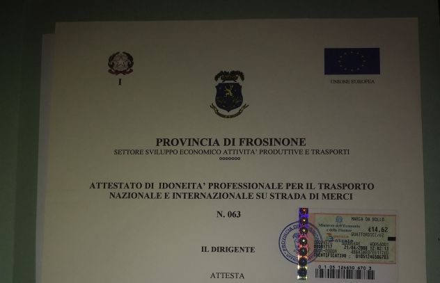 Gestore dei trasporti merci conto terzi (preposto)