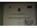 Gestore dei trasporti merci conto terzi (preposto)