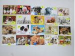 CARTOLINA CANI CAGNOLINI 10 X15 collezione vintage SCEGLI la preferita