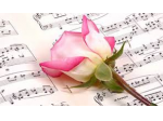 Organista/pianista per musica al funerale