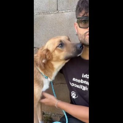MOCKY CERCA UN AMICO AMOREVOLE CUCCIOLO IN ADOZIONE