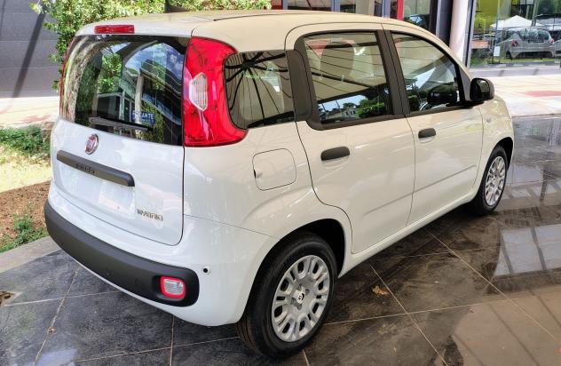 FIAT Panda 1.0 FireFly 70cv S&S Hybrid - Foto 8