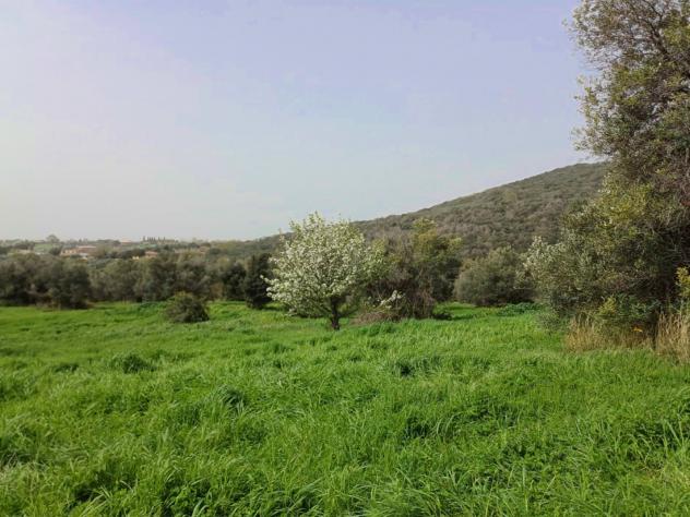 Agricolo in Via Casale dell'Oliveto - Foto 5