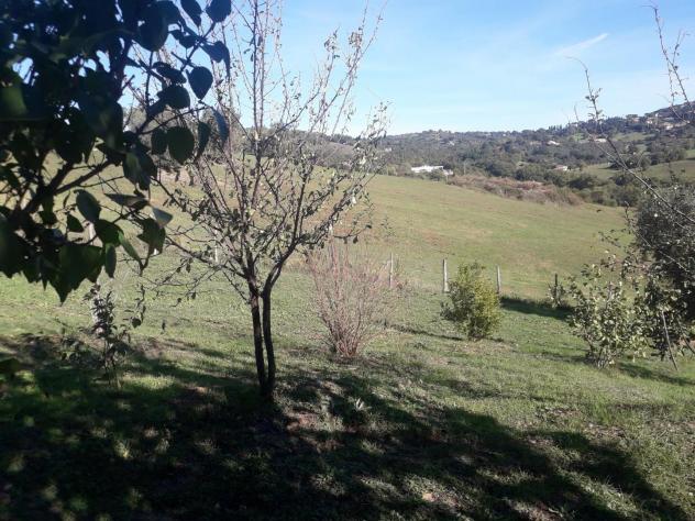 Rustico in vendita a Manciano 350 mq Rif: 1074837 - Foto 4