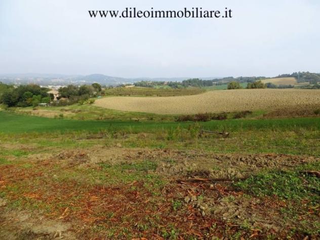 Agricolo in vendita a Pesaro - Foto 10