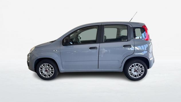 FIAT Panda III 2016 1.2 69cv Easy S&S my19 - Foto 4