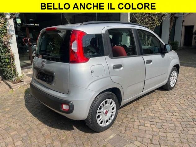 FIAT Panda 1.2 Lounge rif. 24052726 - Foto 2