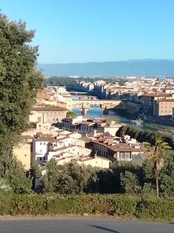 Assistenza familiare/compagnia/ badante
