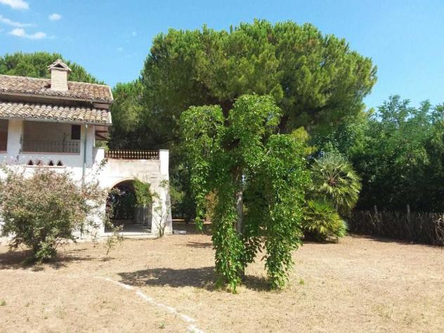 Indipendente in vendita a Tortoreto - Foto 2