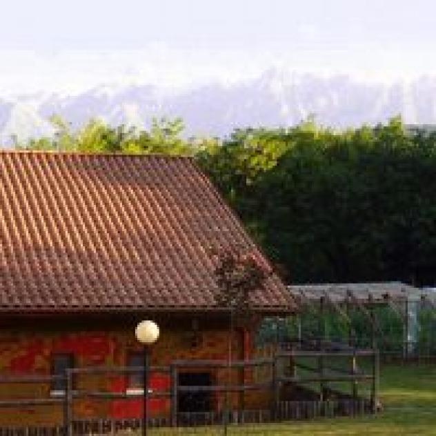 Societa' Agricola Fratelli di Giovanni S.n.c. - Foto 2