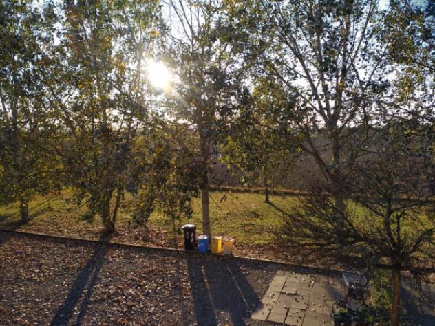 Immobile di 150 m² con più di 5 locali in vendita a Novi di Modena - Foto 11