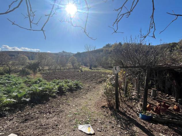 Terreno agricolo in vendita a Asciano 3000 mq Rif: 1360999 - Foto 2