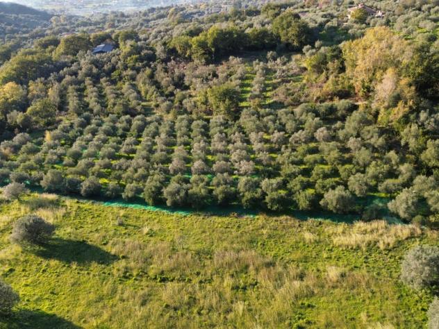 Agricolo in Via Provinciale - Foto 8