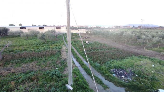 Terreno Agricolo - San Severo . Rif.: Cod. rif 3294216VCG - Foto 5