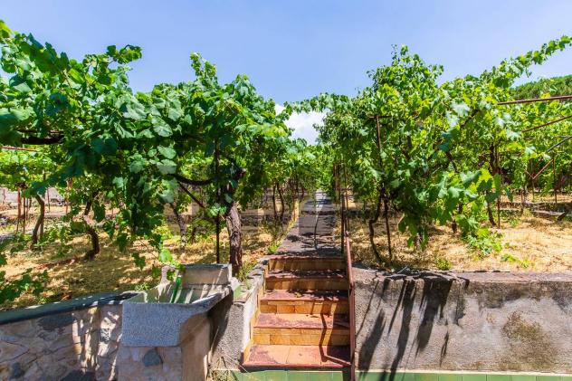 Villa singola in vendita a Mascalucia - Foto 6