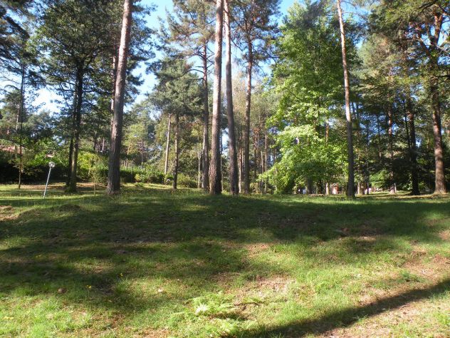Ulti,o lotto edificabile in un bosco in tutta la Lombardia - Foto 4