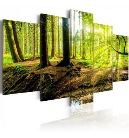 Quadro Gli Alberi Del Bosco 100x50 E 200x100 ARREDALACASA
