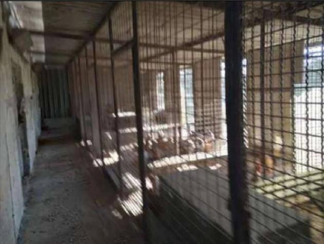 Immobile in asta di 527 m² in vendita a San Giuliano Terme - Foto 14