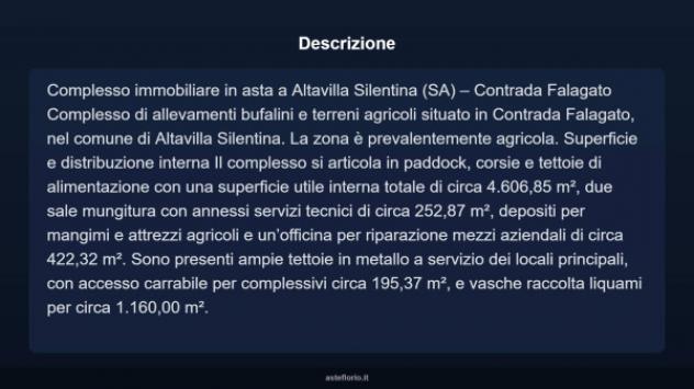 Immobile in asta di 4606 m² in vendita a Altavilla Silentina - Foto 10