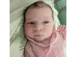 Giulia cerca una babysitter - lavoro da babysitter a Bergamo