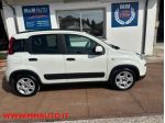 FIAT Panda 1.0 FireFly S&S Hybrid rif. 24152941