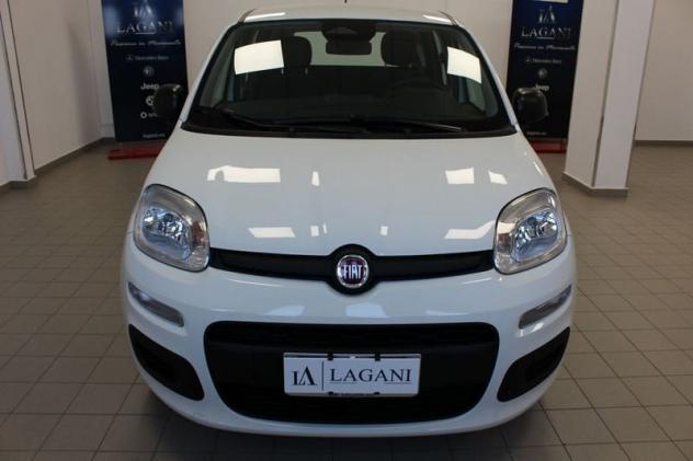 FIAT Panda 1.0 FireFly S&S Hybrid Icon - Foto 2