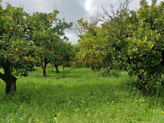 Villa singola in vendita a Chiaramonte Gulfi - Foto 13